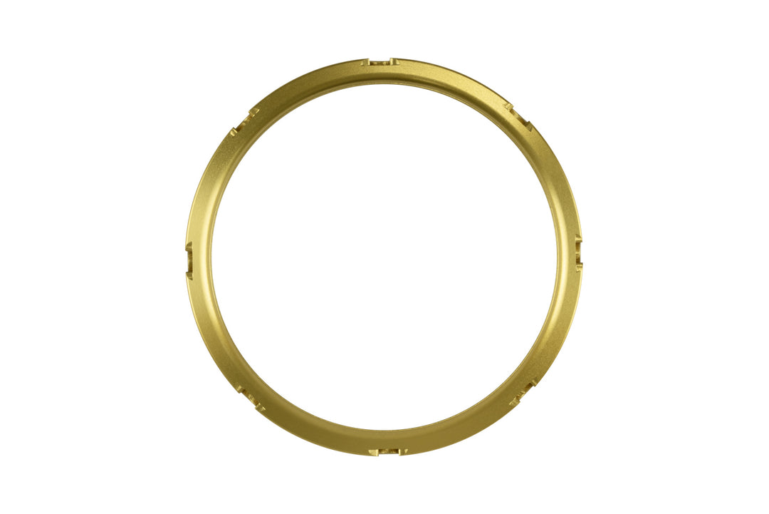 GenV WG45/50 Actuator en ProPort Collar Goud